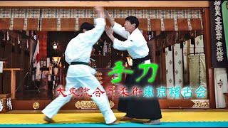 東京稽古会283　手刀　大東流合気柔術