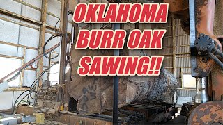 Oklahoma Burr Oak Sawing!!