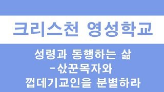 성령과 동행하는 삶 - 삯꾼목자와 껍데기교인을 분별하라.