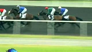 20.01.2012 Meydan (Dubai UAE) 2.Race Al Naboodah Travel \u0026 Tourism - Handicap 2.000 m