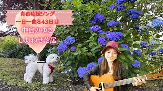 【青春応援ソング】(ギター弾き語り)中島みゆき　しあわせ芝居　歌ってみた♪一日一曲843日目♪星の王子様の日🤴倍賞千恵子さん井川遥さんお誕生日🎂🎉