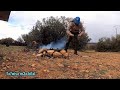 ويكاند في باتنة batna 4k