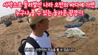 사막으로 둘러쌓인 오만의 바다에 가봤습니다. 놀라운 광경이 펼쳐집니다. [ 중동 오만 여행 5편 ] - 세계일주 용진캠프