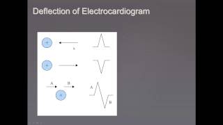 Lab 2 Pre Lab Video