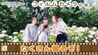 『あうモリヤとる　フィルムカメラの旅　～アジサイが見頃の公園 編～』（23年7月10日放送分）