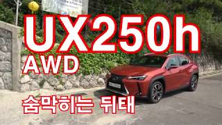 렉서스 UX250h AWD 시승기(Lexus UX250h AWD test drive)