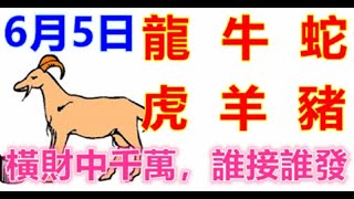 6月5日生肖運勢_龍、牛、蛇大吉 - 十二生肖