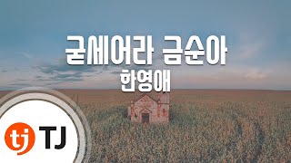 [TJ노래방] 굳세어라금순아 - 한영애 / TJ Karaoke