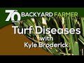 Turf Diseases