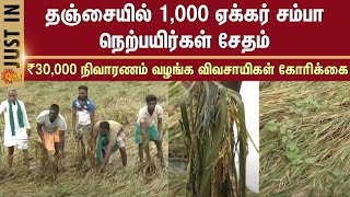 Heavy Rain | Paddy crops damaged | Orathanadu | Thanjavur district | Farmers demand | Compensation