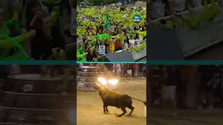 Bull with balls of fire attached to horns cries in fear during Spanish festival #spain #valencia