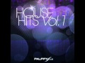 Palffy Club -- House Hits Vol. 1 - ( Mobin Master - Show Me Love)