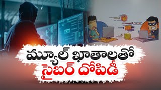 పోలీసులకు సవాలుగా మ్యూల్‌ ఖాతాలు | Mule Accounts Challenge to Police