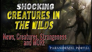 SHOCKING CREATURES IN THE WILDS - News, Creatures, Strangeness and MORE