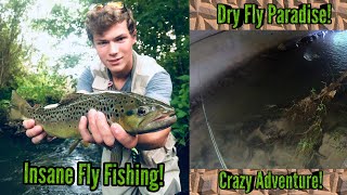 INSANE Dry Fly Fishing! ( Exploring The URBAN JUNGLE! ) They Were Hungry, Wild Browns EVERYWHERE!