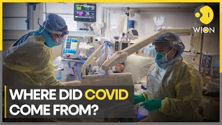 Covid origin: China began developing two vaccines before official outbreak | English News | WION