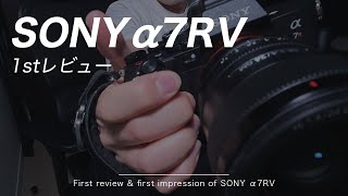 【カメラレビュー】完璧すぎるカメラ！α7RVのファーストレビュー