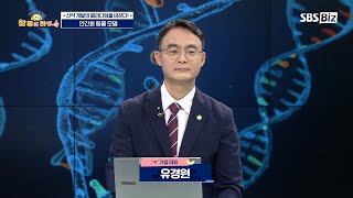 [라이프 매거진 참 좋은 하루] 신약 개발의 패러다임을 바꾼다! 인간화 동물 모델