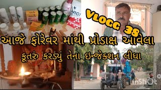 #gujrati vlog Ghavno stock aviritekaro very new #dog bit me worshiped for many days