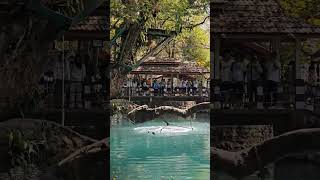 Blue lagoon in Vang Vieng Laos