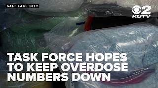 Utah's fentanyl task force hopes to keep overdose numbers down