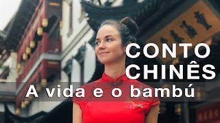 CONTO CHINÊS - A vida e o bambú.