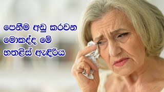 පෙනීම අඩු කරවන මොකද්ද මේ හතළිස් ඇඳිරිය