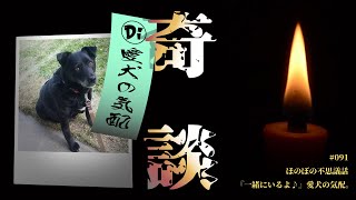 #091【奇談】ほのぼの不思議話『一緒にいるよ♪』愛犬の気配。【MysteriousStory】