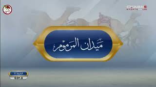 سباق #تأهيلي_المرموم_2024 الجمعة 2024/12/27 الشوط 8 - مزيد لـ أحمد مطر ماجد طارش الخيلي