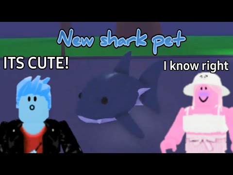 New Shark pet in Ocean egg Adopt me