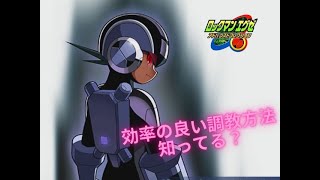 【ロックマンエグゼ5】ABDの学習について検証【アドコレ】