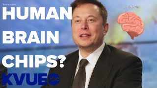 Elon Musk says human brain chip trials are coming with Neuralink | KVUE