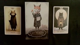 Meet the Cat Tarot - Kickstarter