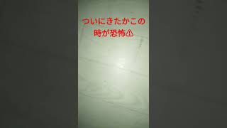 #独身男性 (閲覧注意⚠)ついにきたか🇯🇵日本の白い巨塔が海外の白い巨塔との戦いが😫