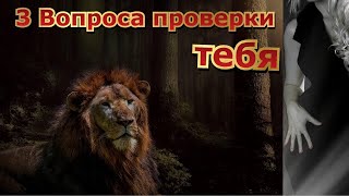 3 вопроса, где женщина тебя проверяет и делает выводы...