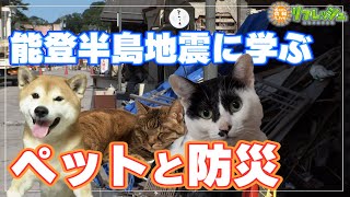 ペットと飼い主の視点から考える防災（調べ隊）