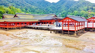 宮島の散策 : Miyajima Island \u0026 Itsukushima Shrine 【 4K Japan Walking Tour 】