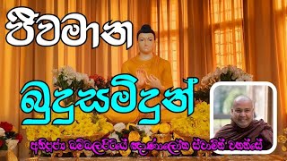 ජීවමාන බුදු සමිදුන් | Most Ven.Bambalapitiye Gnanaloka Thero