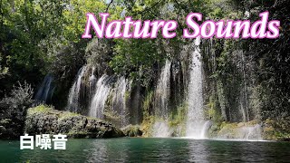 【白噪音】大自然的聲音 森林的聲音 蟲鳴鳥叫 流水聲｜White Noise,Nature Sounds,Forest Sounds,Birds Singing Sounds｜ASMR【JunMan】