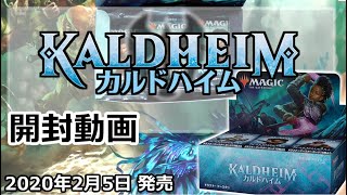 【黄鶏屋】MTG カルドハイム 剥いてみた