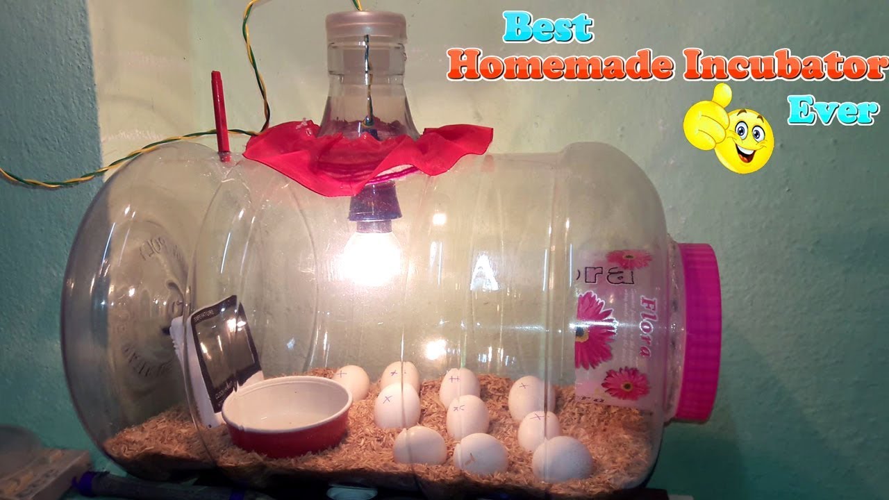 Homemade Egg Incubator