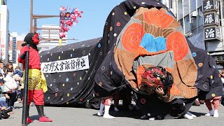 【河野大宮神社獅子舞】獅子舞い紹介【Lion Dance introduction of Japan Kawanoomiyajinjya Shishimai】