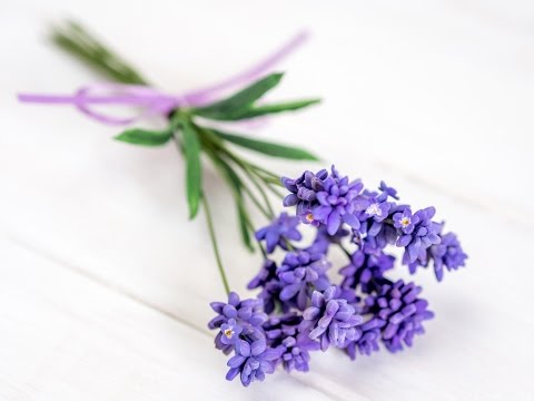 Lavendel aus Blütenpaste / Lavender Tutorial (English Subtitles!) Lavendel aus Blütenpaste / Lavender Tutorial (English Subtitles!)