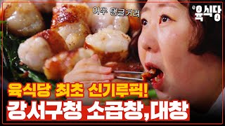 신기루의 찐 단골집 최초 등장! 맛과 양 다 잡은 한우 곱창계의 이단아 EP.6 강서구청 한우 곱창 (먹방,예능,댓글이벤트)ㅣ[신기루의 육식당]