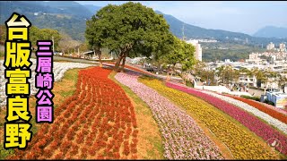 【北投】三層崎公園 台版富良野花海 彩虹花毯底片秒殺｜茄子樂活誌 ｜ HOLA Eggplant