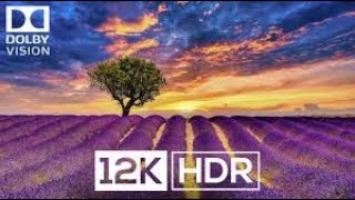 Real Clarity 12K HDR Dolby Vision Demo 60 FPS