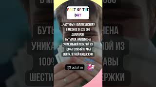 ✅ПОТРЯСАЮЩИЙ ФАКТ🍾#shorts  #фактыизжизни #удивительныефакты #загадкимира #дивныймирфактов