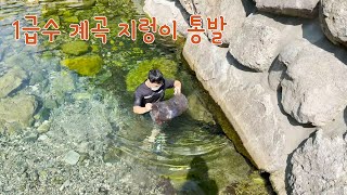 ㅁㅏ! 이게 바로 계곡 통발이다! 깊은 산속 계곡에서 대박!