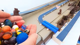 Marble Run Race ASMR - Jumpings &Tunnels with Colorful Chocolate