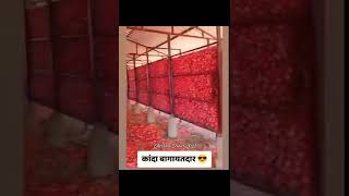 💪🌾Shetkari Onion🧅 Grower😍💯 #शेतकरी #नाद #कांदा #onion #Shetkariraja #brand #oniongrower #new #2022